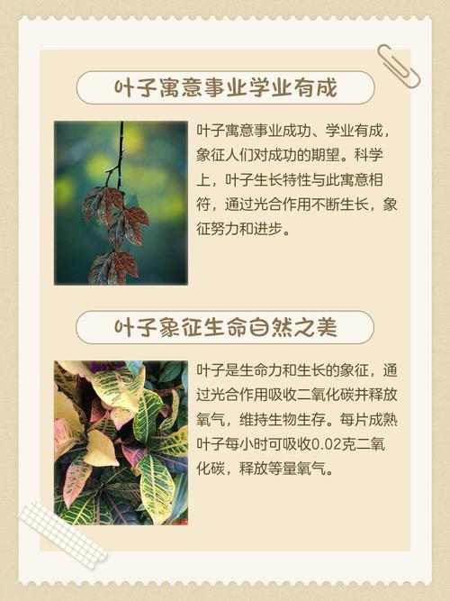 梦见大量绿叶预示着什么含义？周公解梦中的绿叶象征什么？