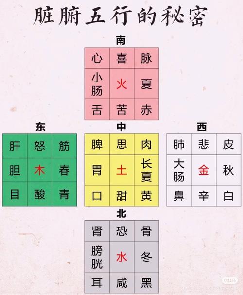 如何通过八字调整，有效泄制水旺五行，平衡五行相生相克？