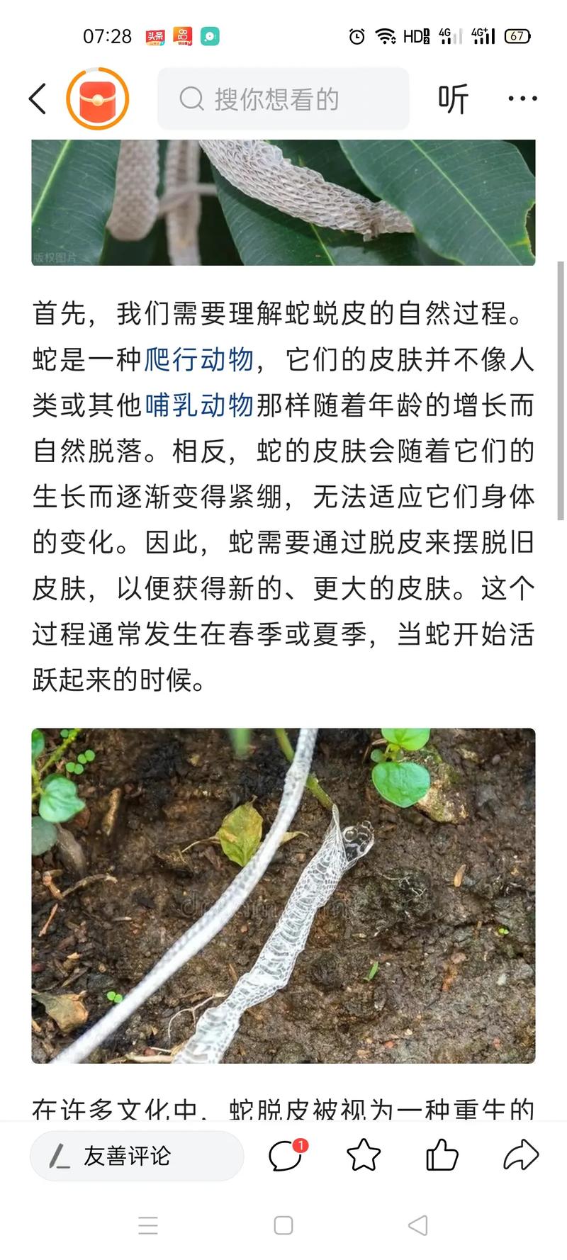 梦见打死蛇剥皮是什么预兆，周公解梦中的杀蛇剥皮有何特殊含义？