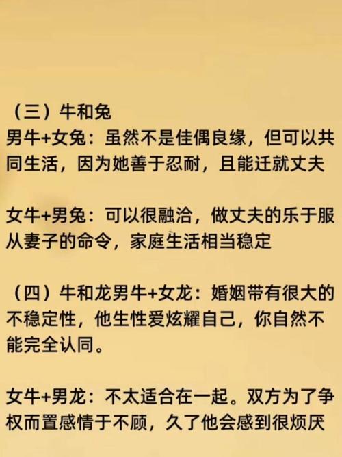 两个1997年属牛的人结婚，他们的婚姻会幸福美满吗？