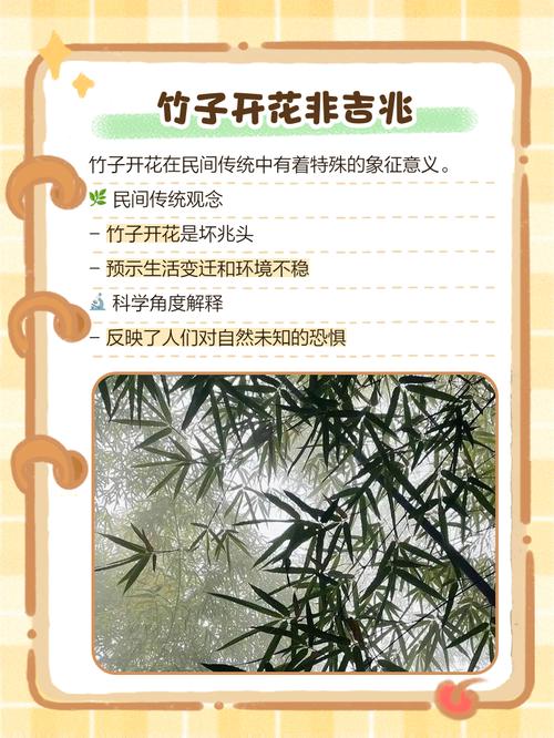 梦见竹子生长旺盛究竟预示着什么吉祥的征兆呢？