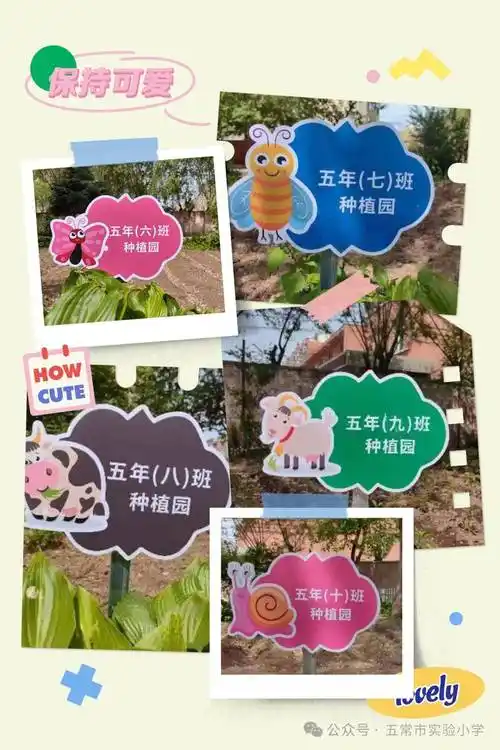 学校农场起一个与班级种植园相关的名字，有什么好的建议吗？