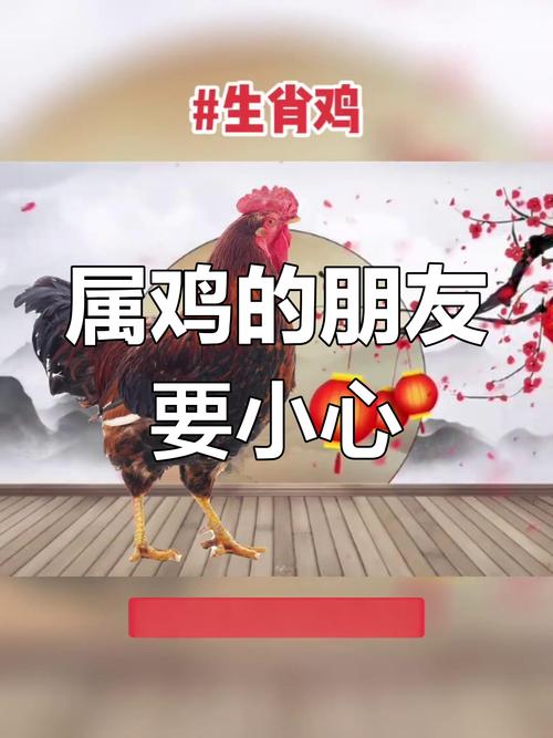 属鸡的人在本虎年运势如何？
