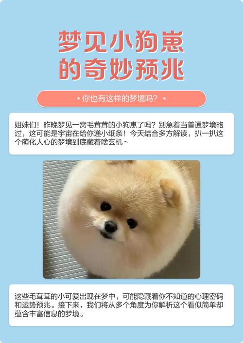 梦见小狗和婴儿有什么特殊预兆？这梦境有何特殊含义？