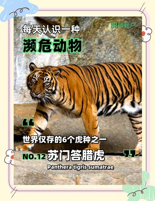 哪个生肖被称为饱经风霜的动物？