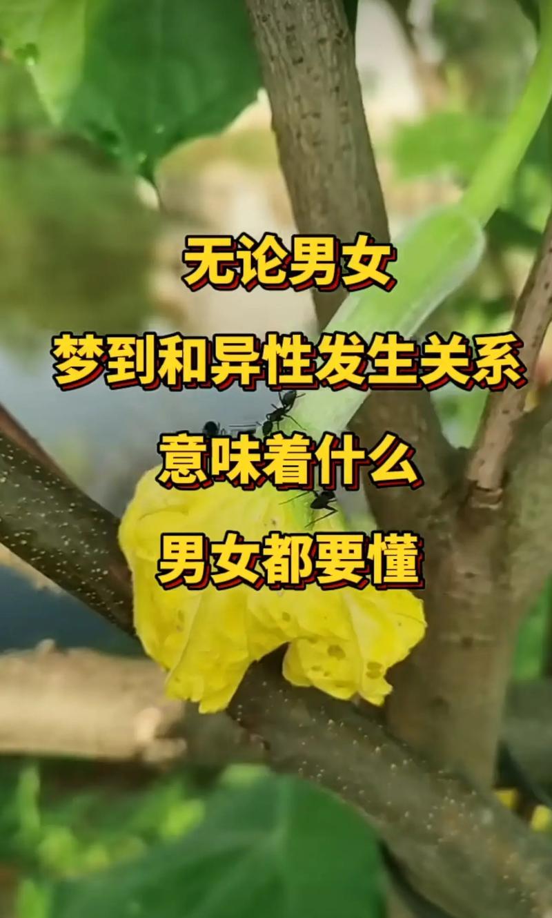 梦见和别人做男女之事预示着事业顺利吗？