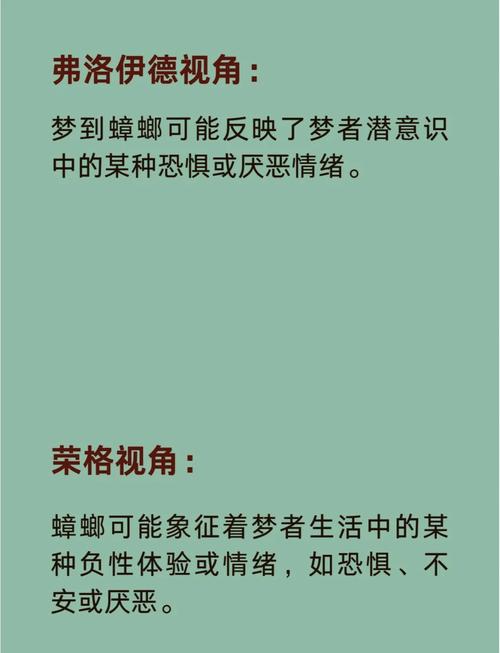 梦到大蟑螂预示着什么？周公解梦大蟑螂的吉凶如何？