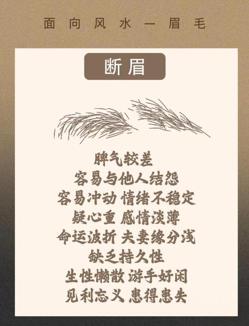 眉毛的形状和浓淡是否真的与个人运势有着密切的联系呢？