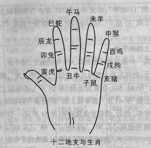 如何用五个手指巧妙计算涵盖十二生肖的周期？