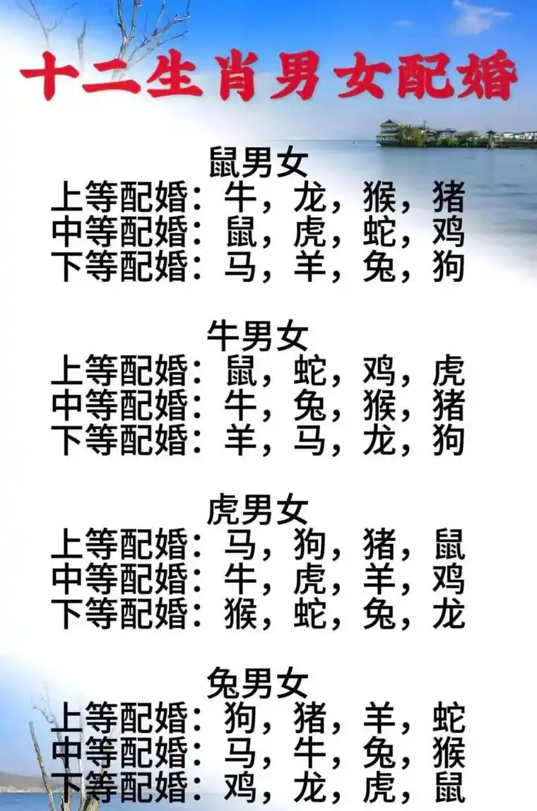 属鼠和属鼠的人八字相合吗？他们的八字配对如何？