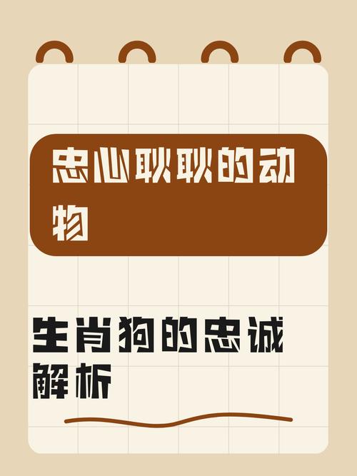哪个生肖的动物以忠心耿耿著称？