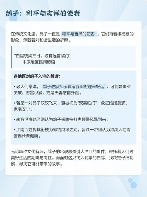 家里飞来一只鸽子，这究竟是什么吉祥的寓意呢？它又为何飞走了呢？