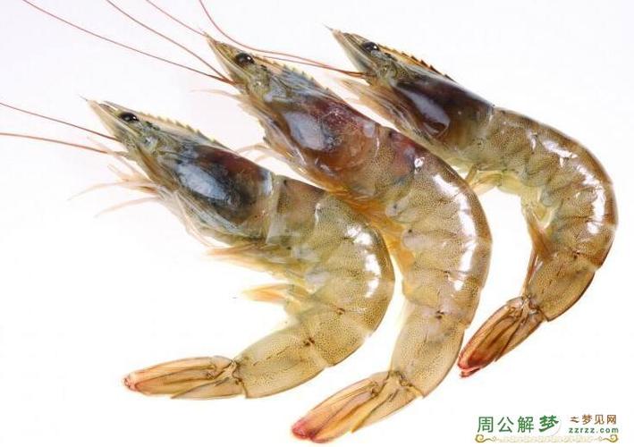 梦见虾是什么预兆，周公解梦里虾的象征意义是什么？