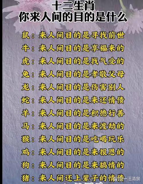 想通过购买什么生肖来达到飞黄腾达的目的呢？
