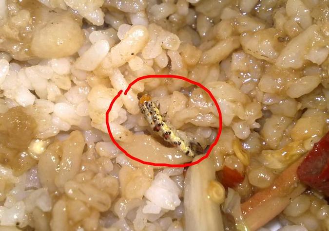 孕妇怀孕期间梦见吃饭碗里有虫子是什么预兆或含义？