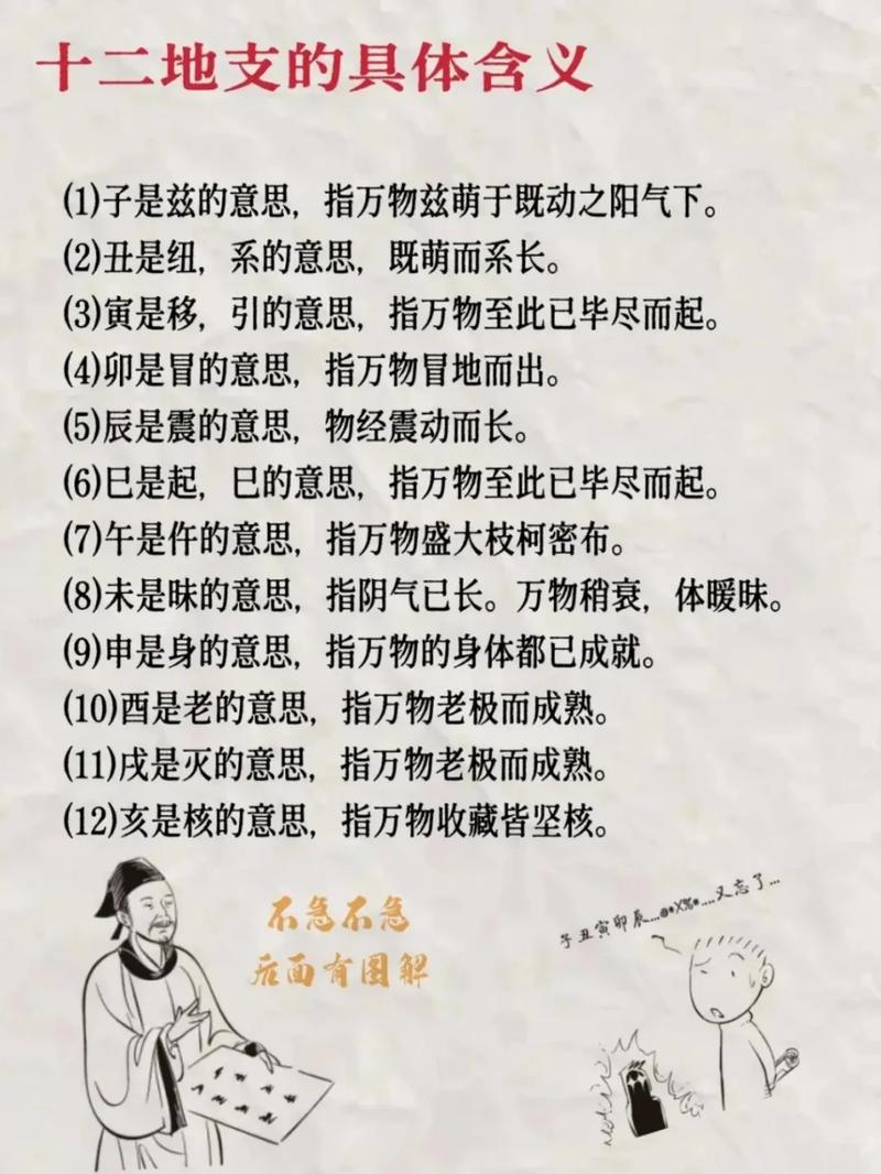 十二生肖分别对应哪些天干地支？