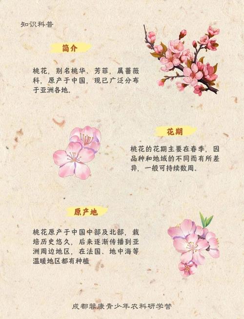 古代桃花的寓意和象征具体有哪些？