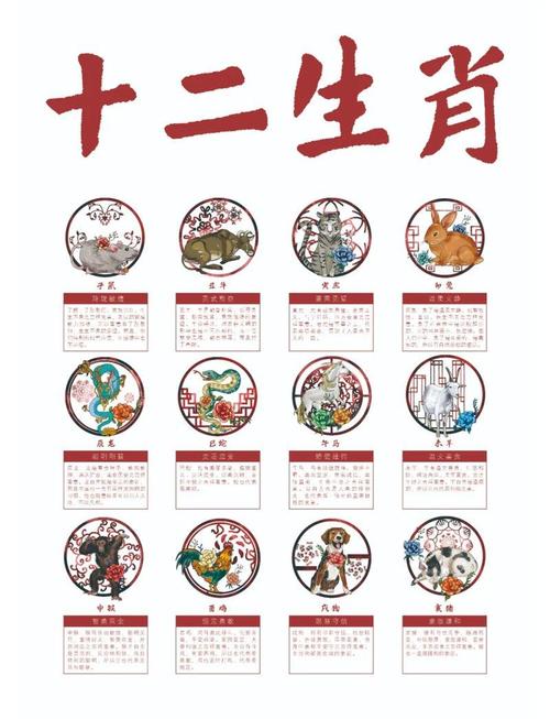 癸所代表的生肖是什么？