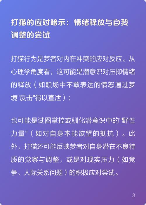 梦见自己动手打猫究竟预示着什么含义？