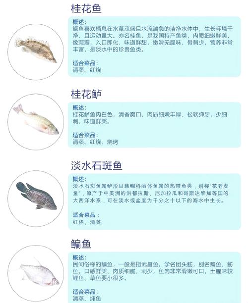 常吃的鱼类大全中都有哪些名字？
