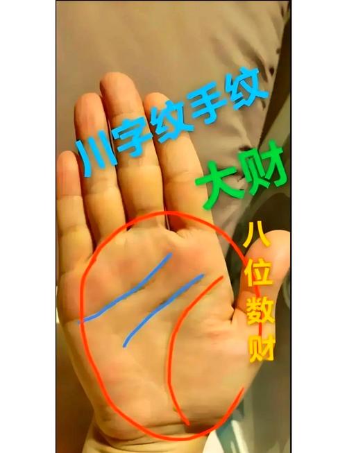 何鸿燊手纹中能看出哪些人生运势和性格特点？