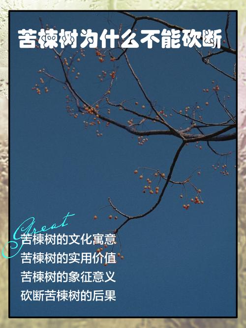 梦见树枝断裂压在我身上有什么深层含义或象征意义？