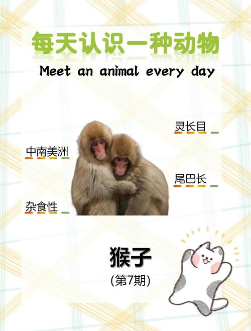 得天独厚的生肖动物究竟是指哪一种？快来为宝宝收藏这个有趣的知识点吧！