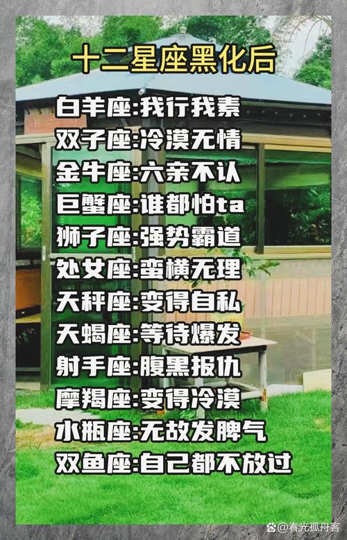十二星座异能设定中，每个星座的异形能力具体是什么？