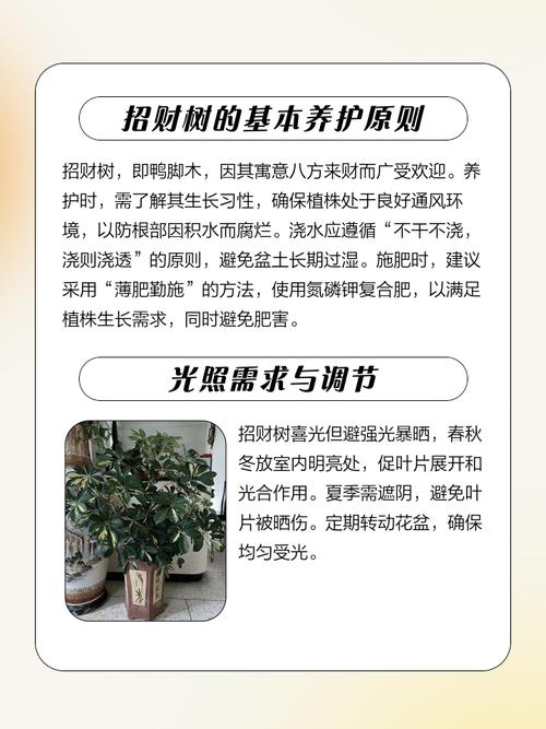 双鱼座的幸运树究竟应该买哪种树来养护呢？