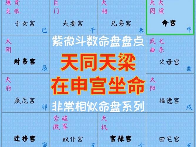 天梁入命于寅宫或申宫的人，他们的性格命运是怎样的呢？