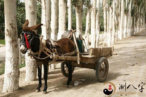 梦见自己坐在驴拉的车上是什么吉凶预兆？