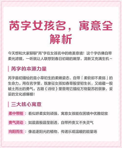 芮字在起名学中的含义是什么？它对女孩名字有何特殊寓意？