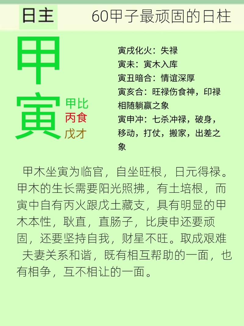 甲寅日柱的深度分析究竟揭示了哪些独特的命理奥秘？