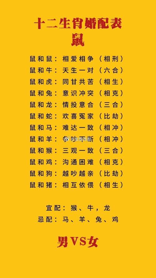 属鼠的与属鼠婚配会怎样，他们的性格和相处模式会呈现怎样的特点？