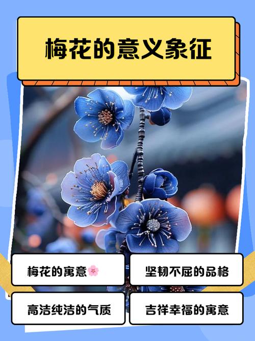 梅花寓意代表什么深层含义？
