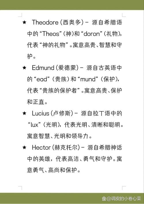 如何给这位骑士取一个既独特又响亮的名字呢？