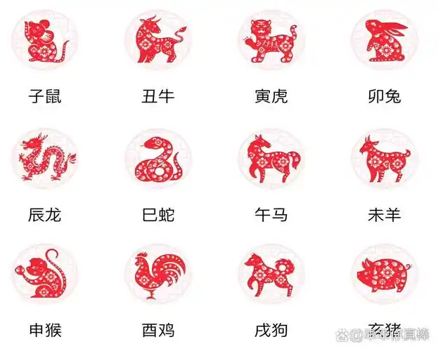 己字在十二生肖中代表哪个生肖？