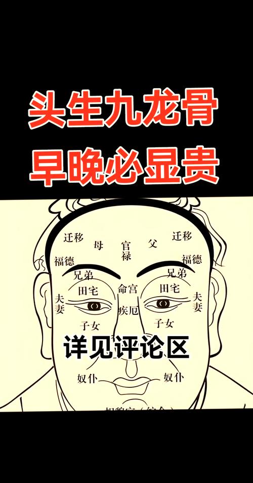 额头骨头凸起的面相有哪些类型及其含义？