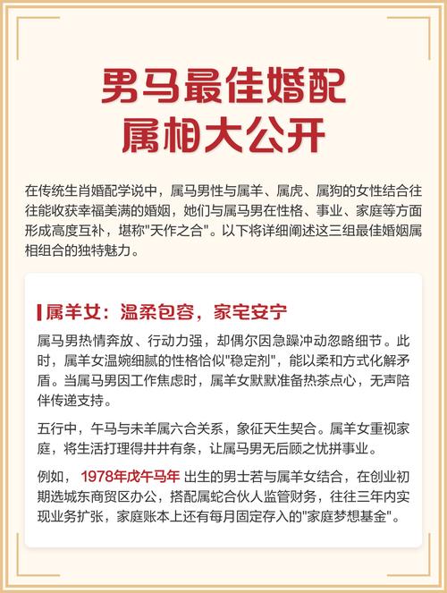 属马人最适合和哪些属相结婚，婚配效果最佳？