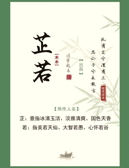 芷字在五行中究竟属于哪一种属性？它的五行属性是什么？