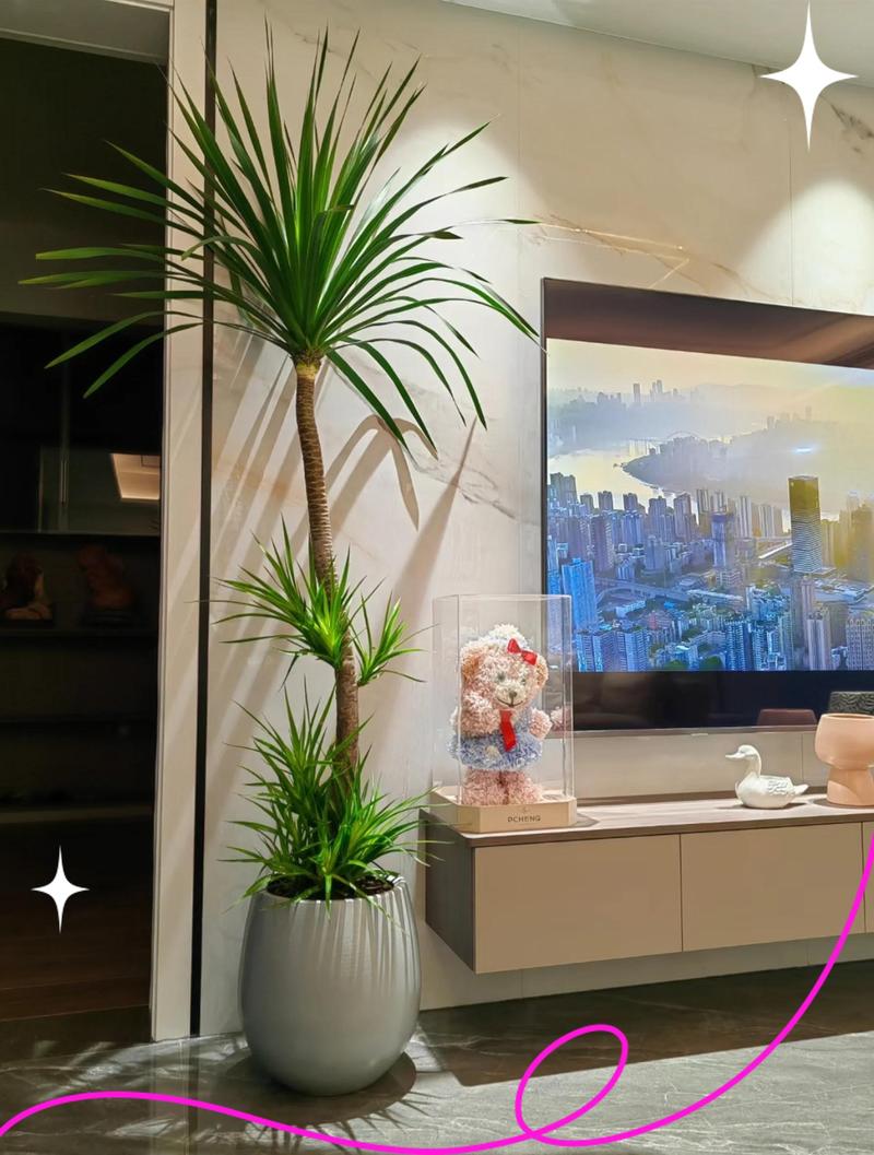 客厅摆放哪些花卉蕞有利于家居风水旺运？