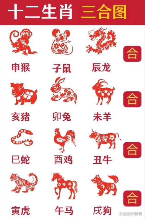 三心二意开过哪些生肖？三心二意代表哪种动物？