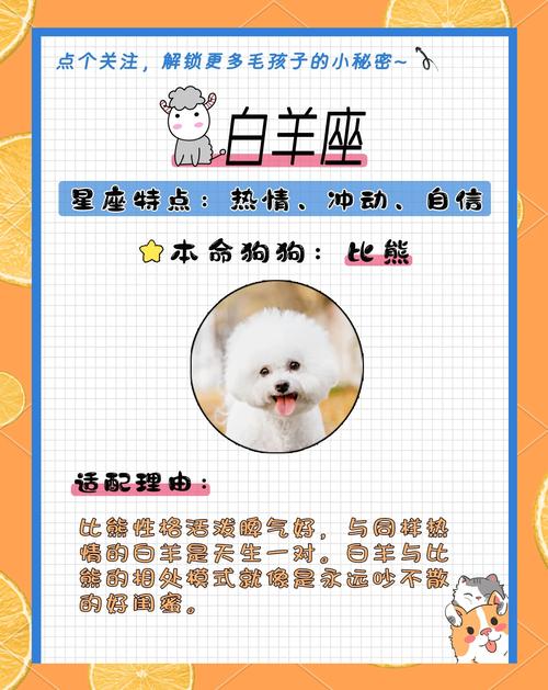 拉布拉多犬最适合与哪个星座配对，竟然连狗都不愿意谈论的四大星座是哪几个呢？