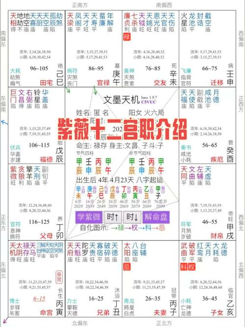 关晓彤的紫薇星盘里有哪些具体星宿和宫位配置，能详细分析一下吗？