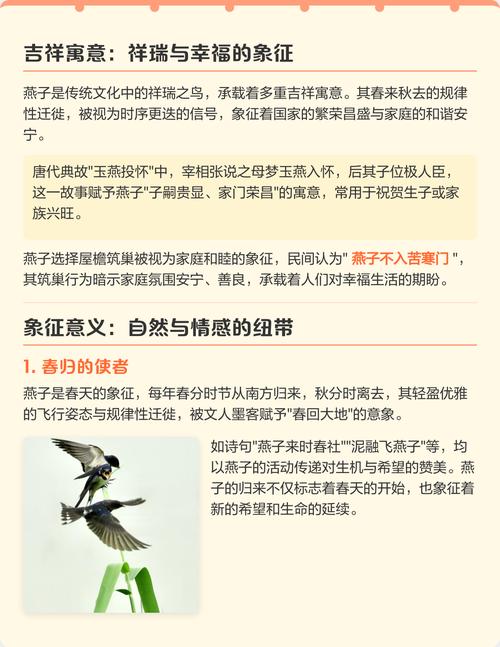 燕子寓意和象征意义具体是什么？