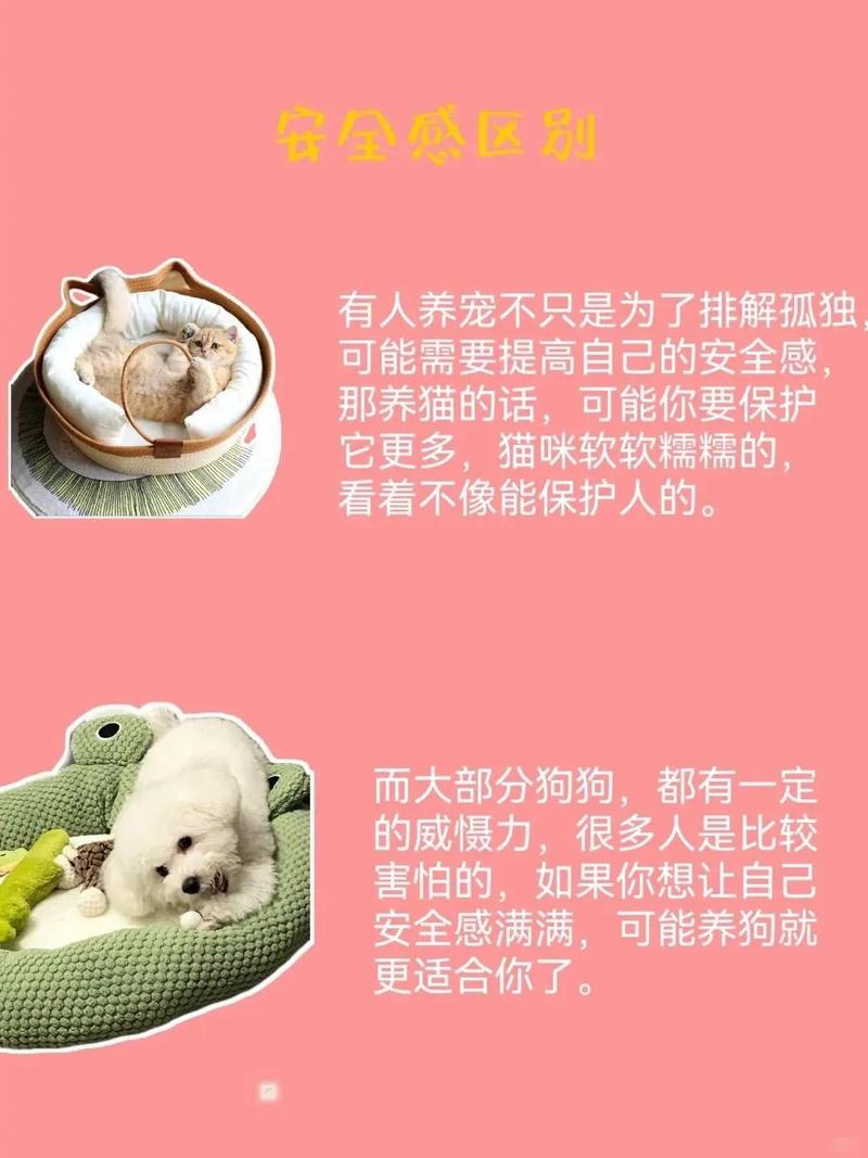 养猫和养狗哪个更符合风水原则，对家居风水有何影响？