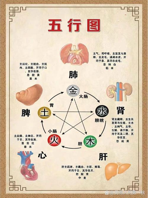 如何判断自己的命理中五行缺什么以及五行偏旺的情况？