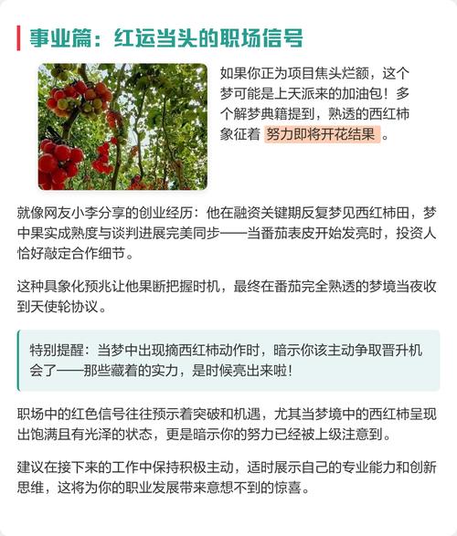 周公解梦：做梦摘西红柿是什么预兆或含义？