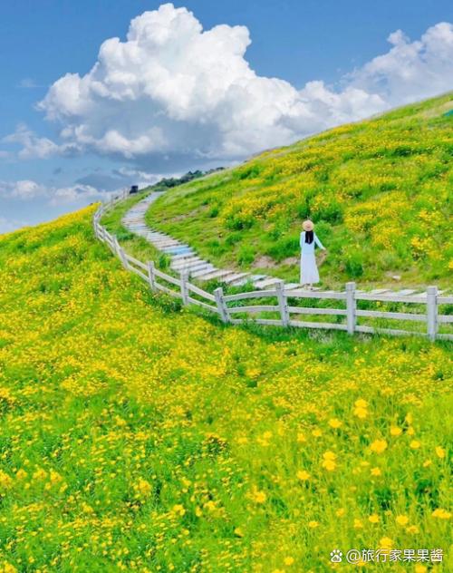 孕妇梦见从山上跳下或跳山谷预示着什么？