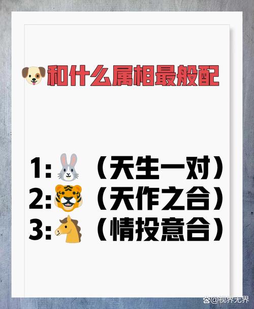 生肖狗与哪个生肖的动物能成为合得来的兄弟姐妹？